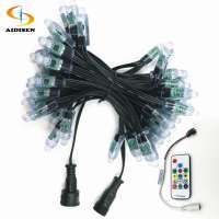 Waterproof Black Wire 12MM Programmable LED String Light Christmas WS2811 DC12V with Controller